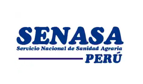 Mesa de trabajo 1 copia 3